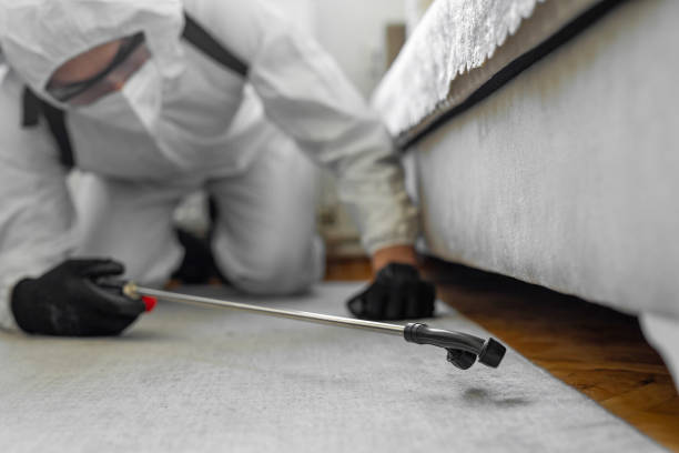 Professional Bed Bug Control technician working in Bel Air North, MD