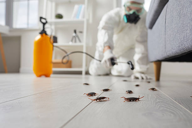 Trusted Cockroach Control service in Bel Air North, MD - Nex Pest Control
