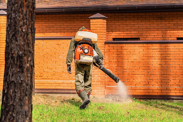 Trusted Ant Control service in Bel Air North, MD - Nex Pest Control